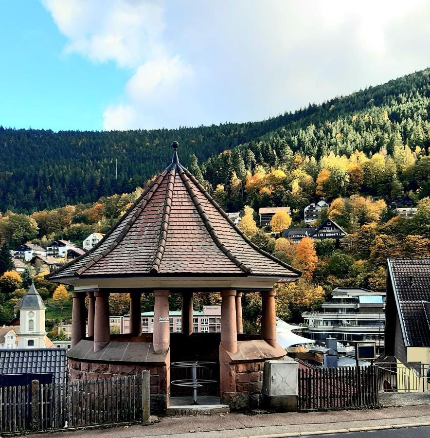 Fewo Sehl Apartment Bad Wildbad Luaran gambar