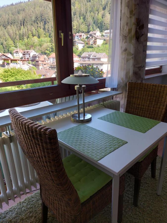 Fewo Sehl Apartment Bad Wildbad Luaran gambar